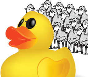 Blind Duck Development